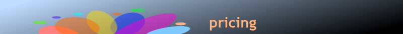 web design pricing at micro update